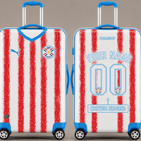 Paraguay WC 26 Luggage Cover HN01